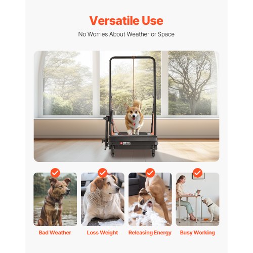 Dog Treadmill for Medium Dogs Electric Pet Treadmill