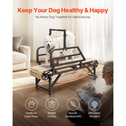 Dog Treadmill for Medium Dogs up to 220 lbs Indoor Pet