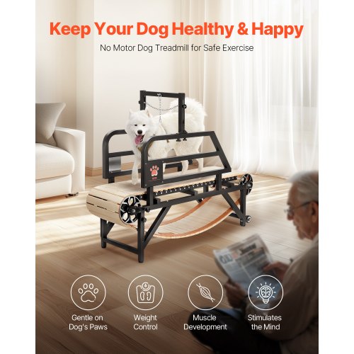 Dog Treadmill for Medium Dogs up to 220 lbs Indoor Pet