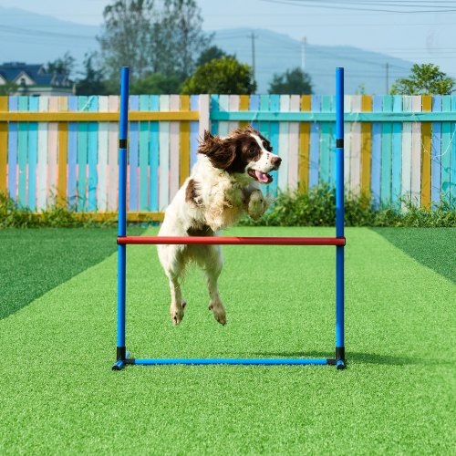 VEVOR Dog Agility Training Equipment 5 PCS Set with