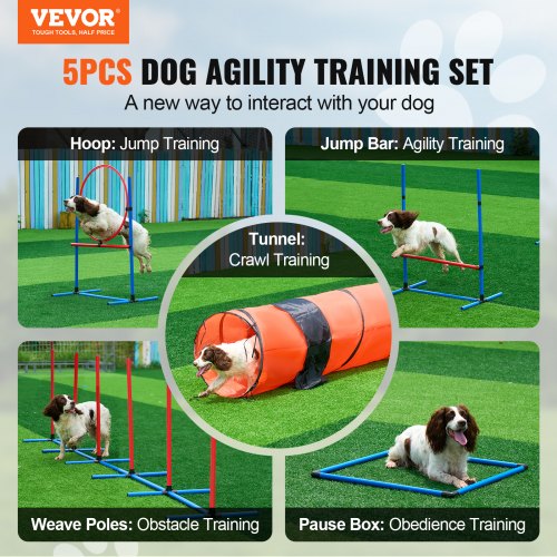 VEVOR Dog Agility Training Equipment 5 PCS Set Upgrade