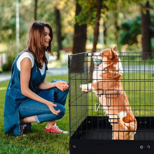 Dog Playpen 4 Panels Foldable Metal Dog Exercise Pen